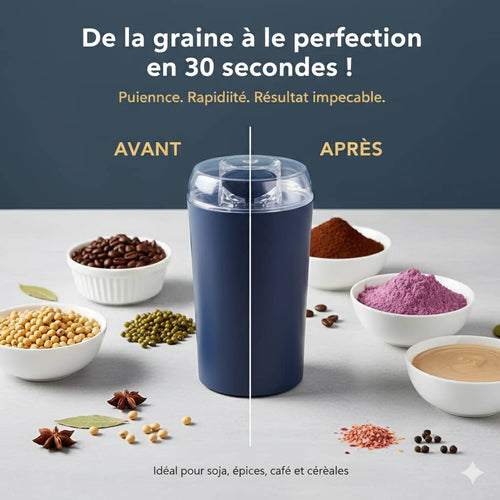 Moulin Électrique Multifonction – Idéal pour Mil, Maïs, Café et Épices